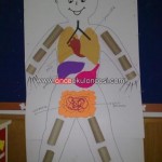 Crafts for kids human body (8)
