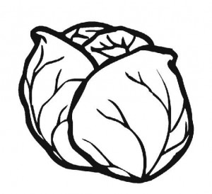 cabbage_coloring_page