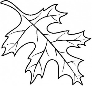 coloring_page_leaf