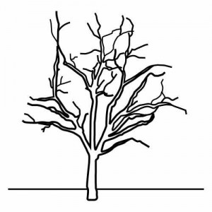 dark_tree_coloring_page