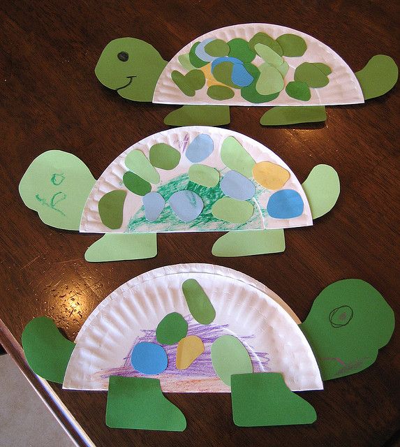 turtle-template-craft