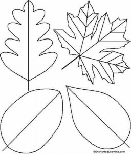 simple_leafs_coloring