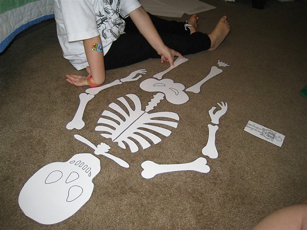 Handprint Skeleton