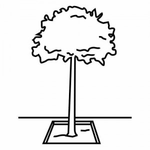 tree_printable