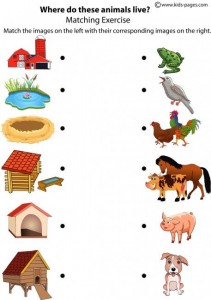 Matching animals to their home worksheet