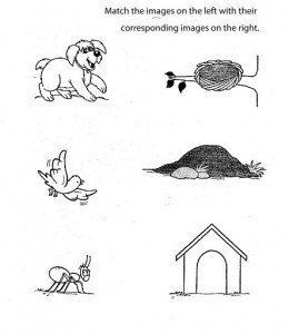 Matching animals to their home worksheet (9)