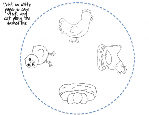free Life Cycle of a chicken coloring