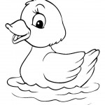 free duck coloring page for kids (18)