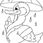 free duck coloring page for kids (20)