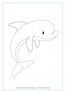 dolphin_tracing_picture