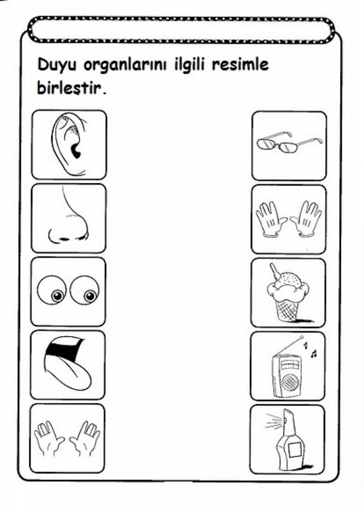 has for page senses free sheets senses Five activity lot kids,parents and  This   a worksheet five of