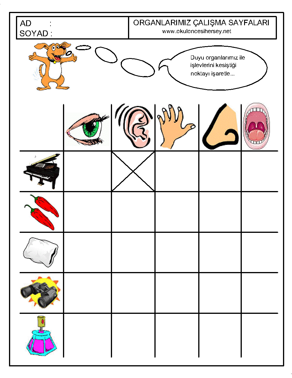 Free Printable 5 Senses Worksheets