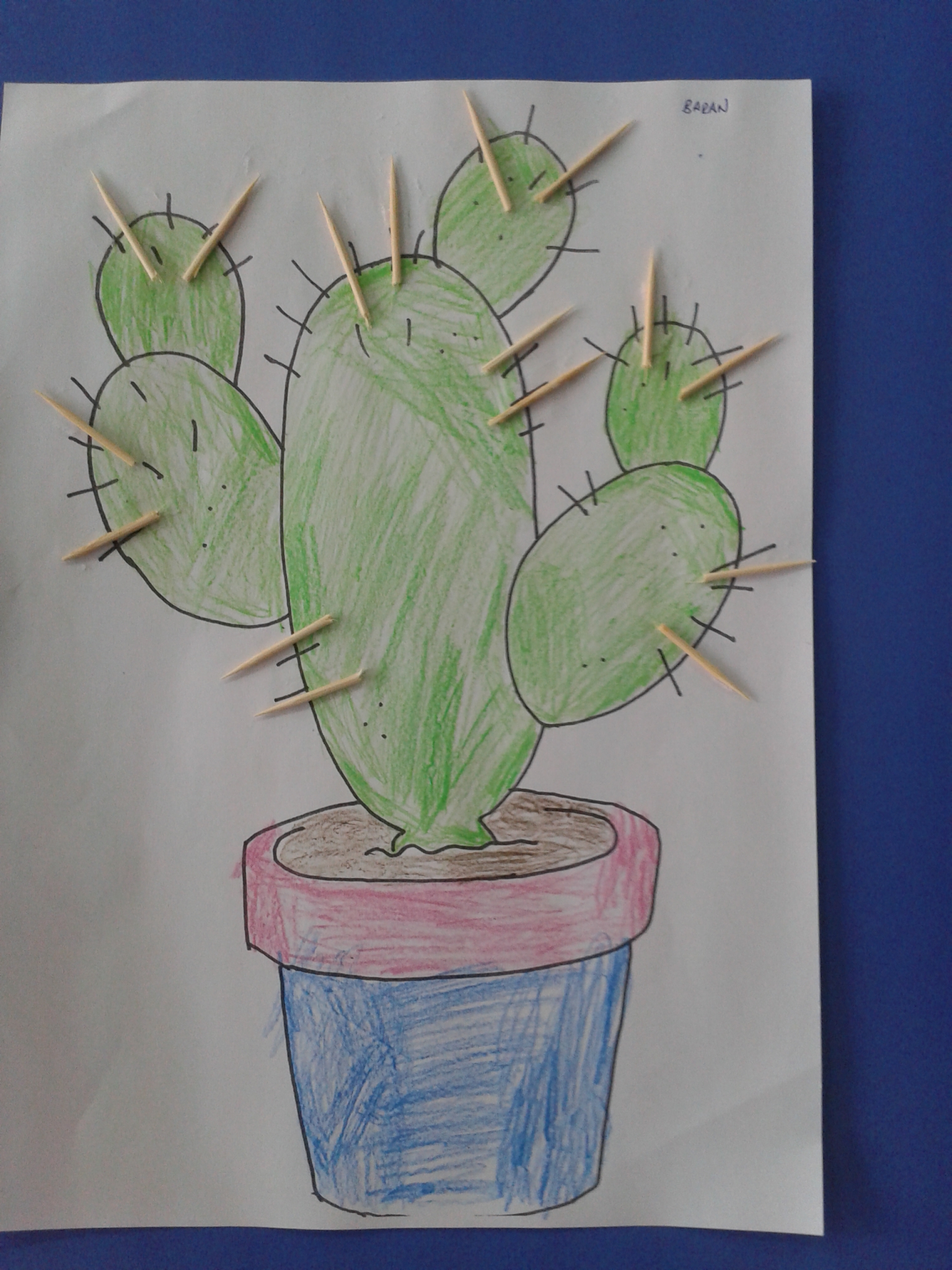 cactus preschoolactivities