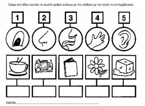5 senses worksheet for kids (12)