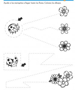 ladybug trace line worksheets (2)