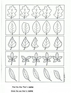 leaf worksheet