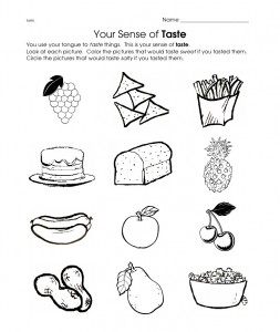 Free 5 senses worksheet for kids | Crafts and Worksheets for Preschool