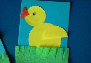 chick craft  (1)