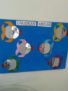 cd fish craft