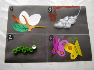 free life of cycle butterfly craft