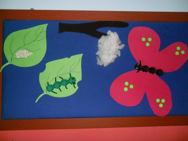 Life of cycle butterfly craft idea for kids | Crafts and Worksheets for