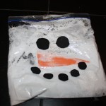 Snowman-in-a-Baggie