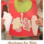 anatomy for kids