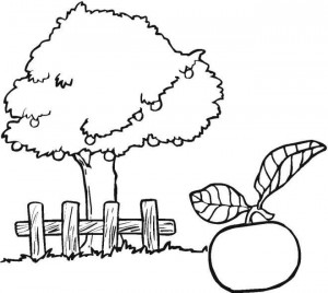 apple-tree-coloring-pages
