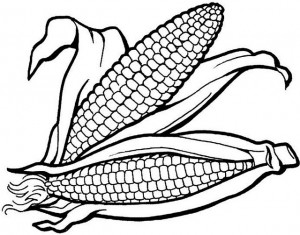 corn-coloring