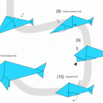 easy_origami_animals_fishs_carft_preschool