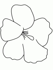 free-coloring-flowers-hibiscus_printable