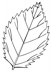 free_coloring_pages_leaf-