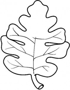 leaf coloring page