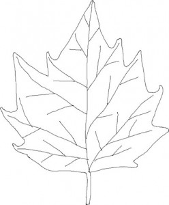leaf_coloring