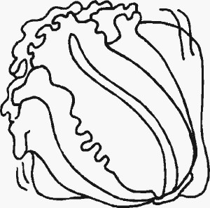 lettuce_coloring_page