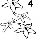 number four 4 coloring and tracing worksheets  (7)