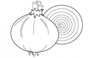 onion_coloring_pages
