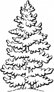 pine_tree_coloring
