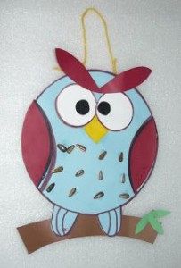 Cute Owl Craft