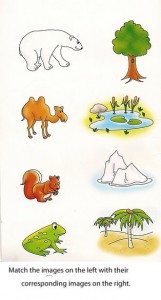 Matching animals to their home worksheet (1)