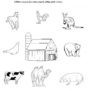 Matching animals to their home worksheet (2)