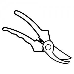 Scissors-de-pruning page