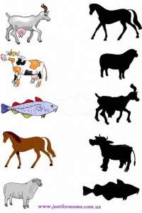 animal shadow match worksheets (10)