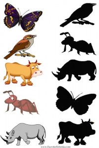 animal shadow match worksheets (6)
