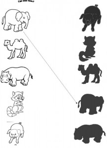 animal shadow match worksheets (9)