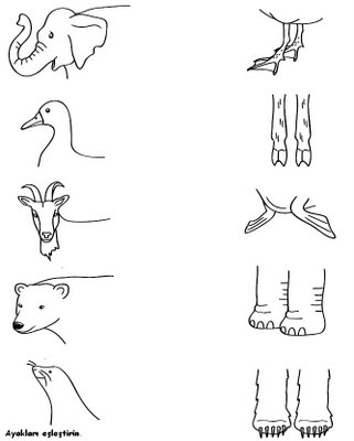 Crafts,Actvities and Worksheets for Preschool,Toddler and Kindergarten