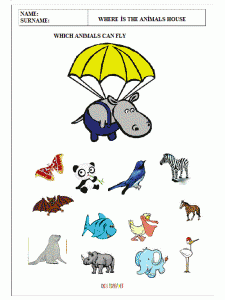 find-the-animal-which-can-fly-worksheets-for-preschool-kids-1