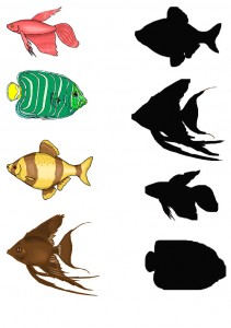 fish shadow worksheet