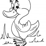 free duck coloring page for kids (16)