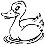 free duck coloring page for kids (2)